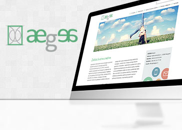 Website client Aegea